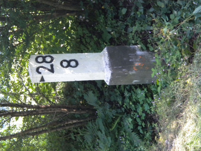 6 Bild 6